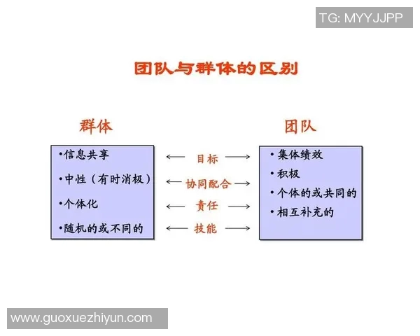 深入探讨FPX战队在比赛中的团队配合与数据分析表现