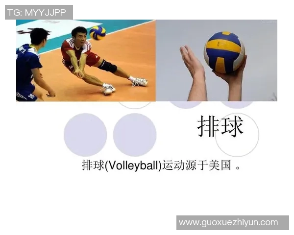 武汉排球队技术分析与发展策略探讨聚焦排球运动的未来与挑战