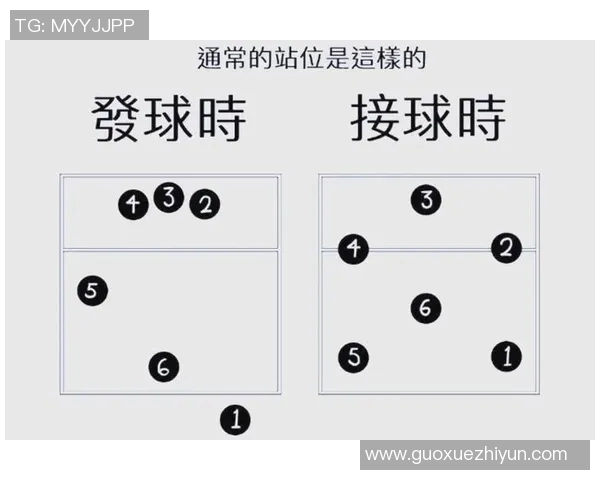 科学排球训练方法与比赛经验的全面解析与应用技巧